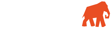Mammoet Internetbureau